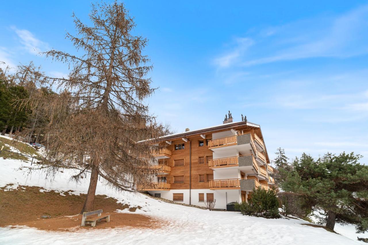 Appartement Chaleureux A Ovronnaz Zewnętrze zdjęcie